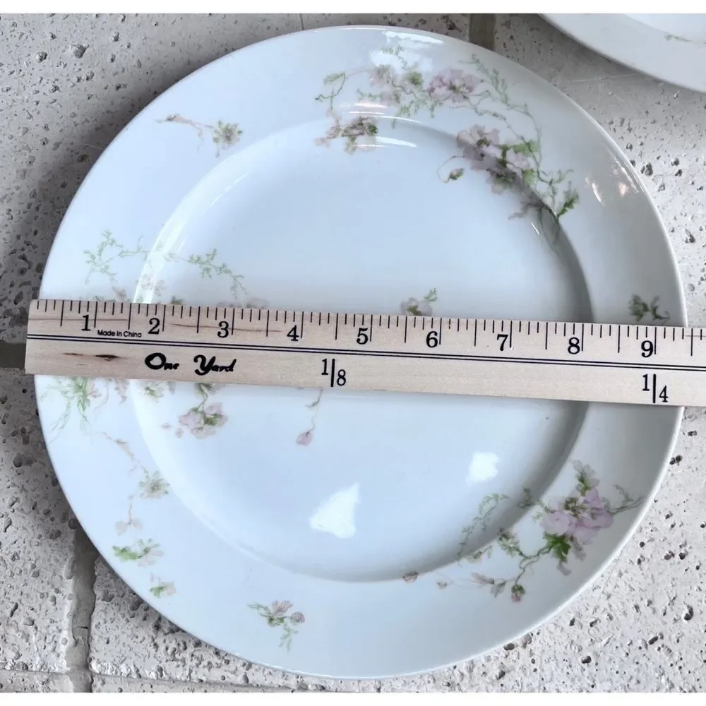 Vintage GDA CH Field Haviland Limoges France Floral Dinner Plates & Serving Dish